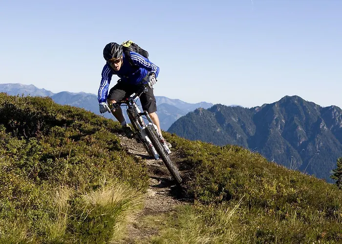 Apartamento Superior Alpbach